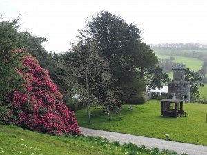 The spectacular gardens of Caerhays Castle