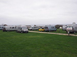 Murvis gather in Cornwall.