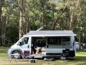 Murvi Morello 2011 for sale