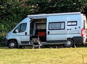 Murvi Morocco 2015 for sale