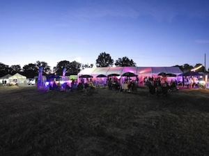New Forest Folk Festival